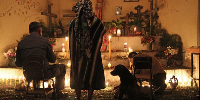 Imatge de la unitat didàctica